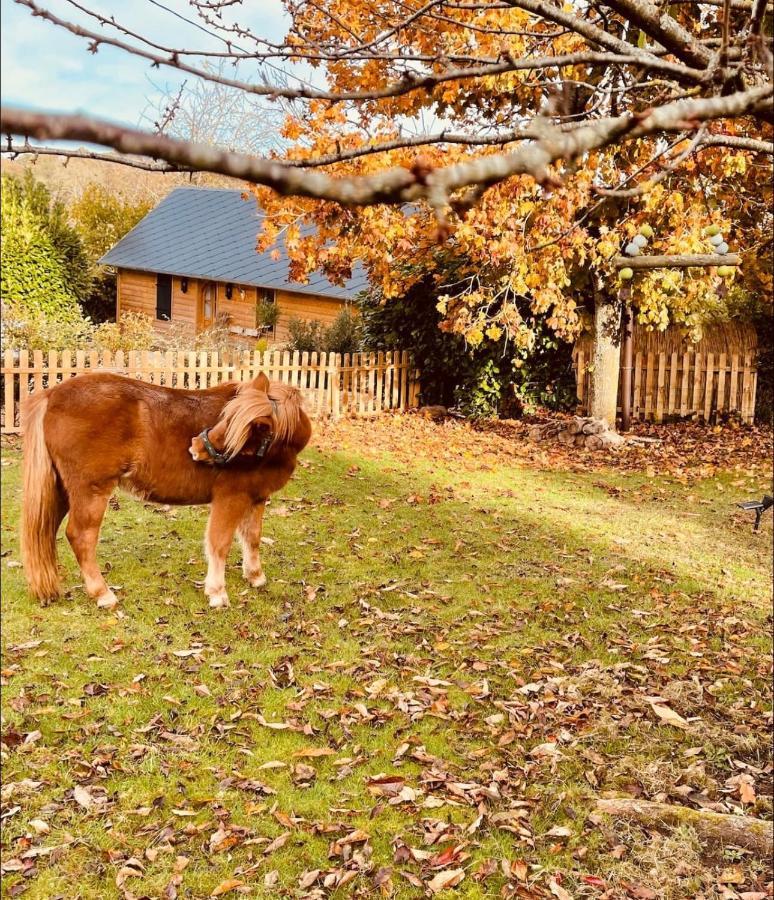 Cottage Normand Avec Sa Grande Piscine Chauffee Toute L Annee Sur Parc Arbore Et Clos En Plein Coeur De La Campagne Adapte Aux Kids Et Dog Friendly Saint-Antonin-de-Sommaire ภายนอก รูปภาพ