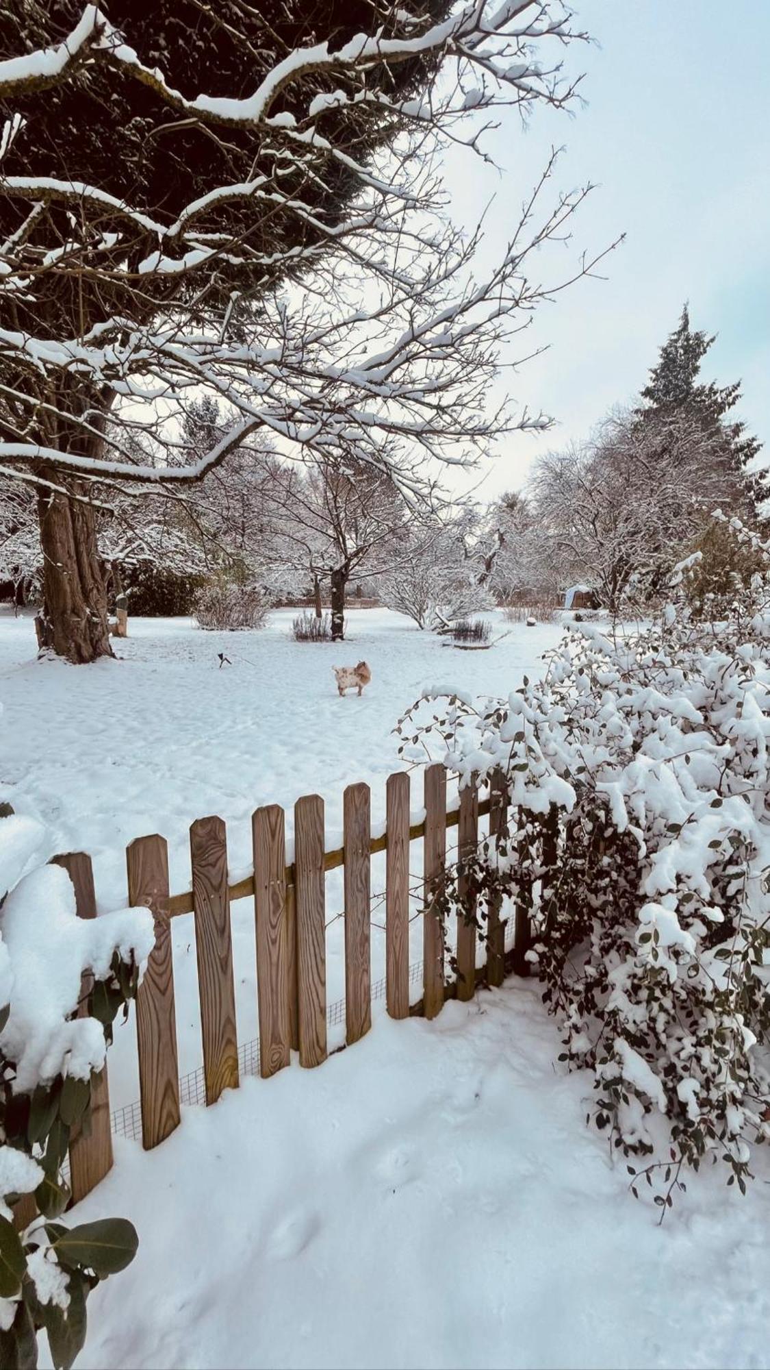Cottage Normand Avec Sa Grande Piscine Chauffee Toute L Annee Sur Parc Arbore Et Clos En Plein Coeur De La Campagne Adapte Aux Kids Et Dog Friendly Saint-Antonin-de-Sommaire ภายนอก รูปภาพ