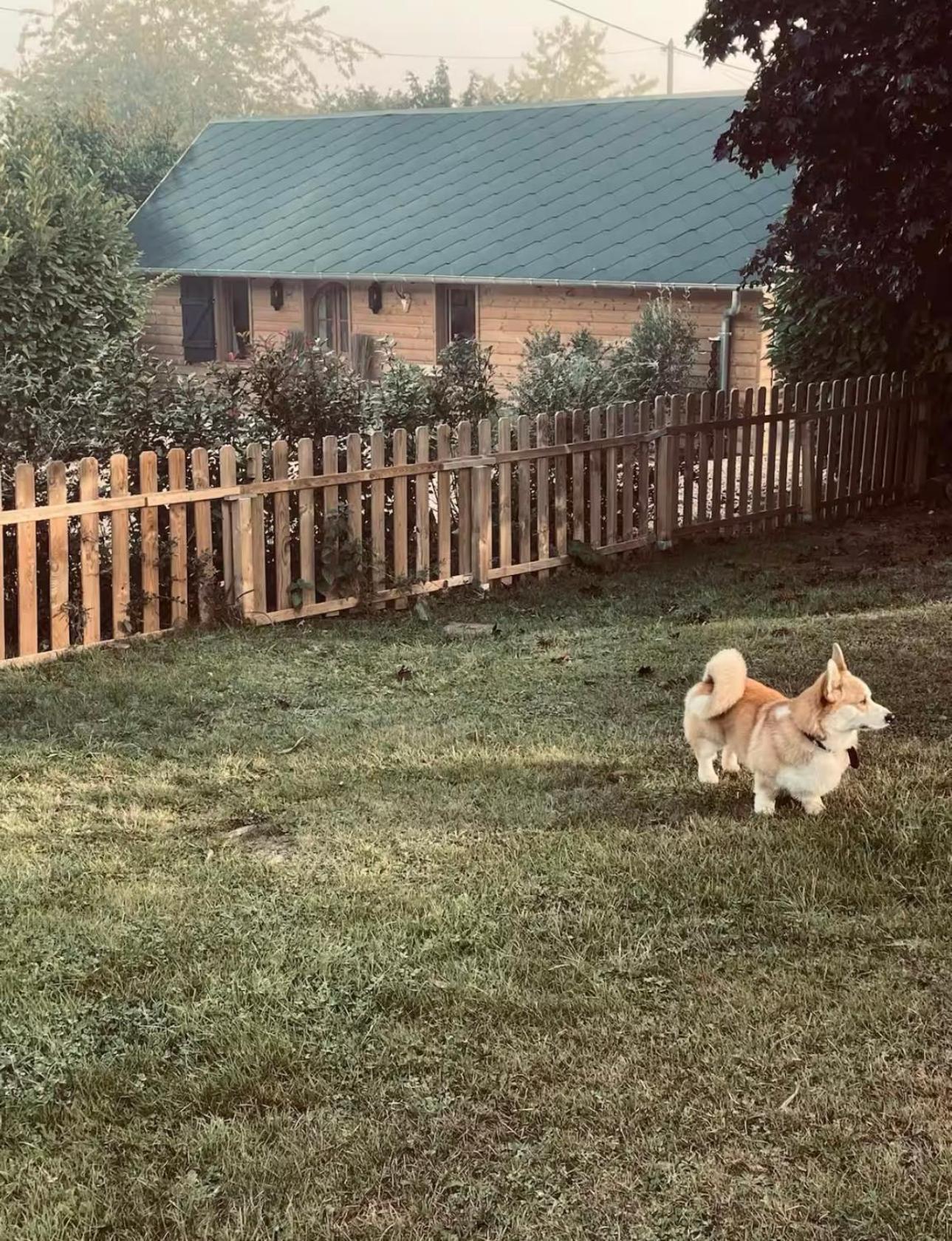 Cottage Normand Avec Sa Grande Piscine Chauffee Toute L Annee Sur Parc Arbore Et Clos En Plein Coeur De La Campagne Adapte Aux Kids Et Dog Friendly Saint-Antonin-de-Sommaire ภายนอก รูปภาพ